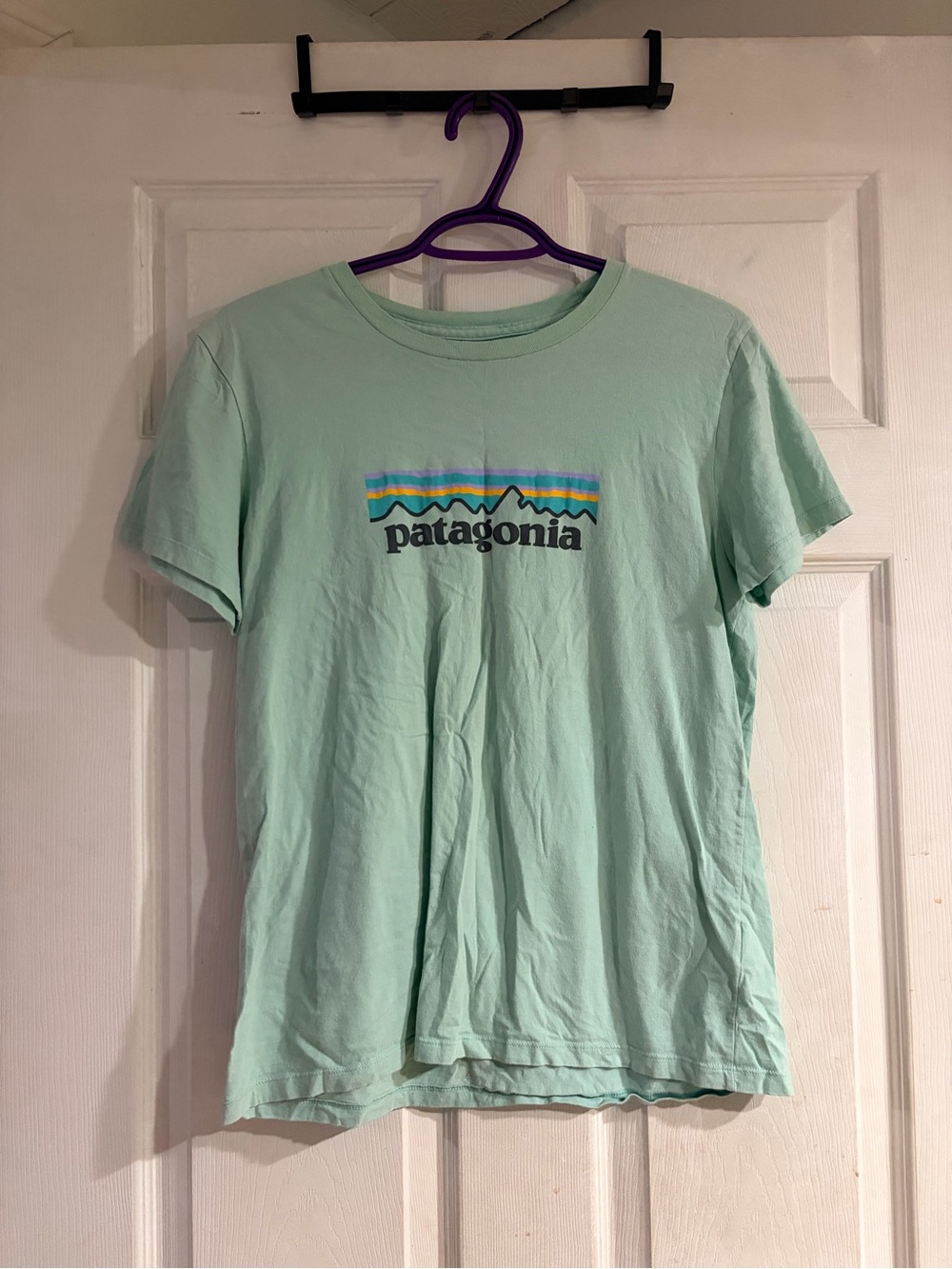 Patagonia T Shirt